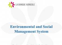 environmental and Social Policy