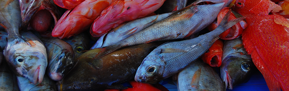 poissons 