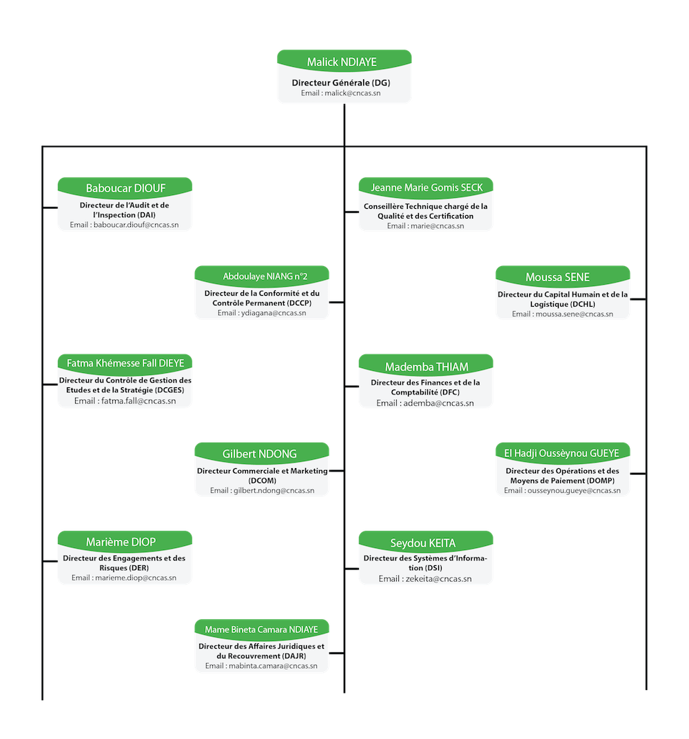 organigramme